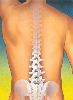 Optimizing Spinal Health for a Pain-Free Life